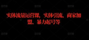 实体流量运营课，实体引流、商家加盟、暴力起号等-最全资源库