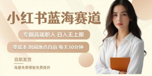 小红书蓝海赛道，圈中高端职场人，月入无上限，可矩阵，内含私域实操教程!-最全资源库