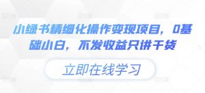 小绿书精细化操作变现项目，0基础小白，不发收益只讲干货-最全资源库