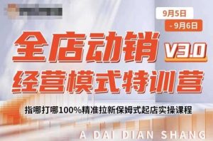 全店动销经营模式特训营,指哪打哪100%精准拉新保姆式起店实操课程-最全资源库