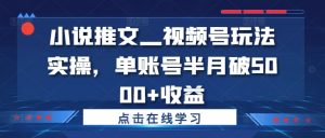 小说推文—视频号玩法实操，单账号半月破5000+收益-最全资源库