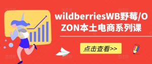 wildberriesWB野莓/OZON本土电商系列课,掌握WB产品优化,出单技巧和订单处理等-最全资源库
