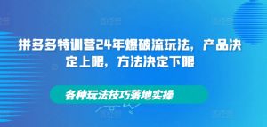 拼多多特训营24年爆破流玩法,产品决定上限,方法决定下限,各种玩法技巧落地实操-最全资源库