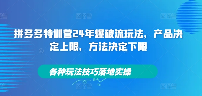 拼多多特训营24年爆破流玩法,产品决定上限,方法决定下限,各种玩法技巧落地实操-最全资源库