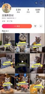 快手MT搬运技术，一比一搬运不剪辑，剧情可用，条条同框-最全资源库