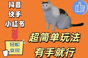 超简单玩法,有手就行,靠猫咪视频日入500+【揭秘】-最全资源库