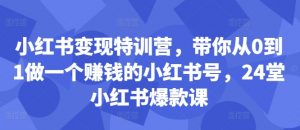小红书变现特训营，带你从0到1做一个赚钱的小红书号，24堂小红书爆款课-最全资源库