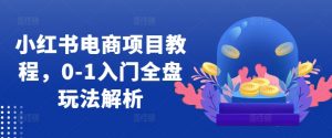 小红书电商项目教程，0-1入门全盘玩法解析-最全资源库