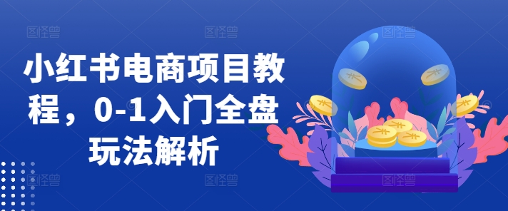 小红书电商项目教程，0-1入门全盘玩法解析-最全资源库