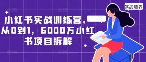 小红书实战训练营,从0到1,6000万小红书项目拆解-最全资源库