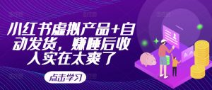 小红书虚拟产品+自动发货，赚睡后收入实在太爽了-最全资源库