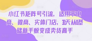小红书矩阵号引流，适用于电商、微商、实体门店，30天从0基础新手蜕变成卖货高手-最全资源库