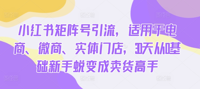 小红书矩阵号引流,适用于电商、微商、实体门店,30天从0基础新手蜕变成卖货高手-最全资源库