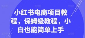 小红书电商项目教程,保姆级教程,小白也能简单上手-最全资源库