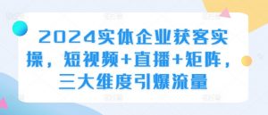 2024实体企业获客实操，短视频+直播+矩阵，三大维度引爆流量-最全资源库