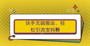 快手无脑搬运，轻松引流宝妈粉，纯小白轻松上手【揭秘】-最全资源库
