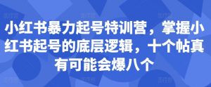 小红书暴力起号特训营,掌握小红书起号的底层逻辑,十个帖真有可能会爆八个-最全资源库