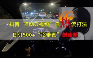 抖音EMO视频自热打法,日引500+“泛垂直”创业粉-最全资源库