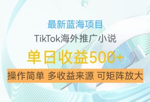 最新蓝海项目,利用tiktok海外推广小说赚钱佣金,简单易学,日入500+,可矩阵放大【揭秘】-最全资源库