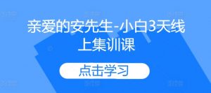 亲爱的安先生-小白3天线上集训课-最全资源库