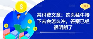 某付费文章：这头猛牛接下去会怎么冲，答案已经很明朗了 !-最全资源库