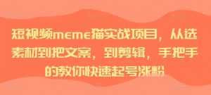 短视频meme猫实战项目，从选素材到把文案，到剪辑，手把手的教你快速起号涨粉-最全资源库