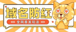 0基础搭建域名防红告别被封风险，学会可对外接单，一单收200+【揭秘】-最全资源库
