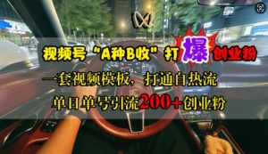 视频号“A种B收”打爆创业粉,一套视频模板打通自热流,单日单号引流200+创业粉-最全资源库