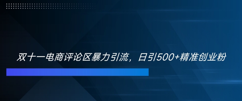 双十一电商评论区暴力引流,日引500+精准创业粉【揭秘】-最全资源库