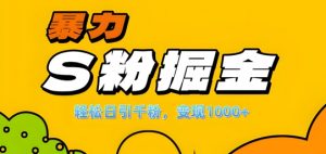 单人单机日引千粉，变现1k+，S粉流量掘金计划攻略【揭秘】-最全资源库