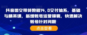 抖音图文带货教程14.0交付体系，基础与精英课，新增账号运营锦囊，快速解决账号针对问题-最全资源库