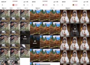 狗熊岭快手连怼技术，好物，涨粉都可以连怼-最全资源库