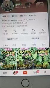 最新抖音暴力起万粉技术，一天涨万粉，发三四个作品涨近万粉-最全资源库