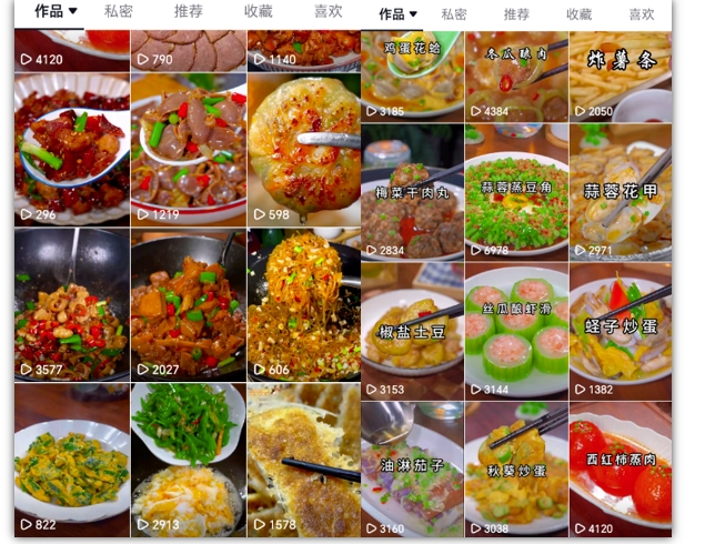 抖音带货美食领域课程,无需真人实拍仅靠剪辑实现涨粉-最全资源库