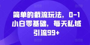简单的截流玩法，0-1小白零基础，每天私域引流99+【揭秘】-最全资源库