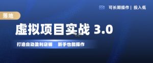虚拟项目实战3.0,打造自动盈利店铺,可长期操作投入低,新手也能操作-最全资源库