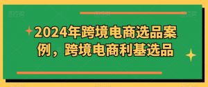 2024年跨境电商选品案例，跨境电商利基选品（更新11月）-最全资源库