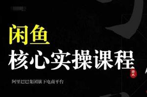 2024闲鱼核心实操课程,从养号、选品、发布、销售,教你做一个出单的闲鱼号-最全资源库
