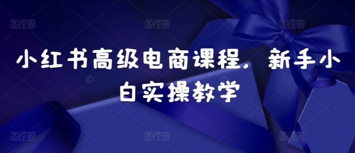 小红书高级电商课程,新手小白实操教学-最全资源库