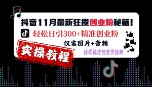 抖音11月最新狂揽创业粉秘籍，轻松日引300+精准创业粉，仅需图片+音频，轻松搞定创业类视频-最全资源库
