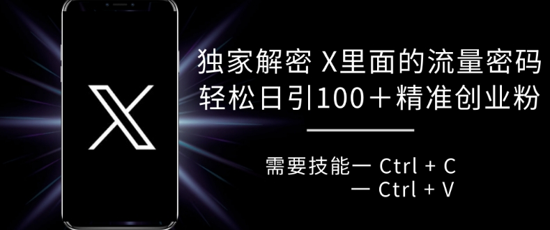 独家解密 X 里面的流量密码，复制粘贴轻松日引100+-最全资源库