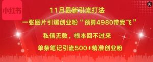 小红书11月最新图片打粉,一张图片引爆创业粉,“预算4980带我飞”,单条引流500+精准创业粉-最全资源库