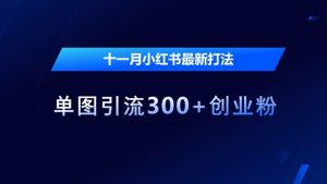 十一月小红书最新打法,单图引流300+创业粉【揭秘】-最全资源库