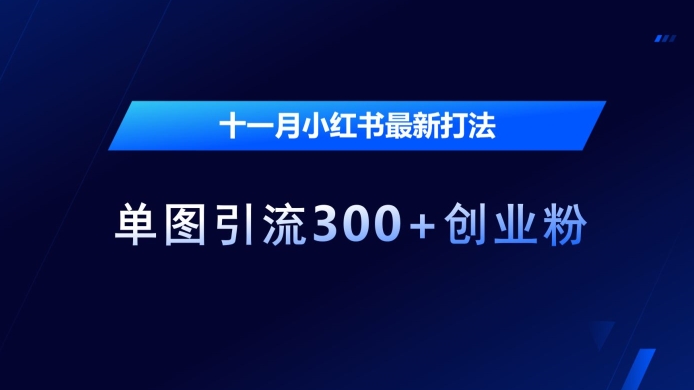 十一月小红书最新打法,单图引流300+创业粉【揭秘】-最全资源库