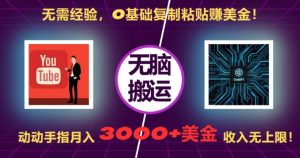 无需经验，0基础复制粘贴赚美刀，动动手指，月入3000+刀，无上限【揭秘】-最全资源库