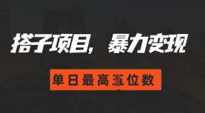 2024搭子玩法，0门槛，暴力变现，单日最高破四位数【揭秘】-最全资源库