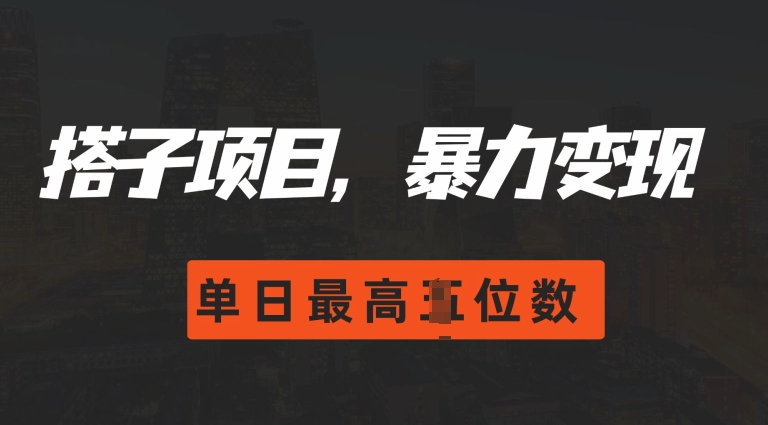 2024搭子玩法，0门槛，暴力变现，单日最高破四位数【揭秘】-最全资源库