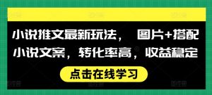 小说推文最新玩法， 图片+搭配小说文案，转化率高，收益稳定-最全资源库