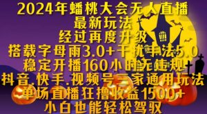 2024年蟠桃大会无人直播最新玩法，稳定开播160小时无违规，抖音、快手、视频号三家通用玩法【揭秘】-最全资源库