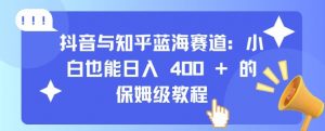抖音与知乎蓝海赛道：小白也能日入 4张 的保姆级教程-最全资源库